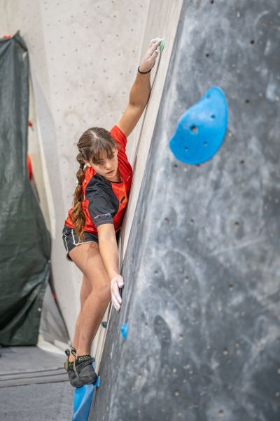 Escuela de competición